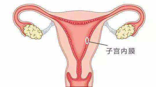 子宫内膜有问题可以做马来西亚试管婴儿吗?