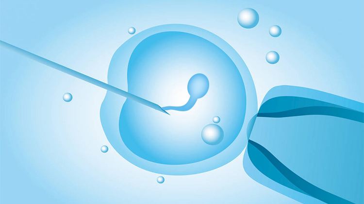 马来西亚试管婴儿之前如何提高胚胎质量?