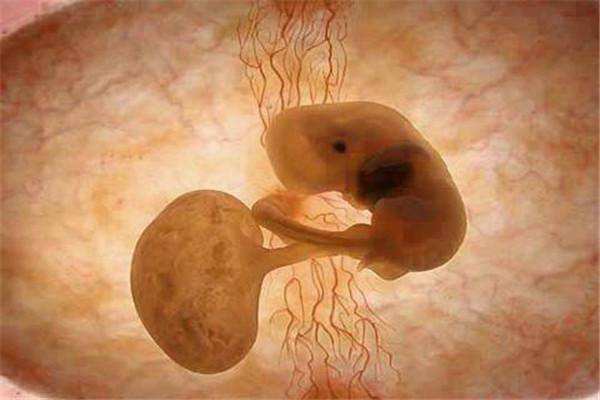 试管婴儿过程中胚胎不着床的原因有哪些?