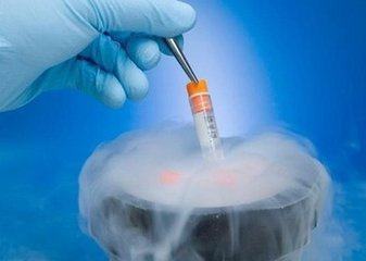马来西亚试管婴儿冻胚时间长短，会影响试管婴儿进程？