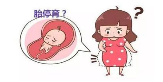 试管婴儿如何规避胎停育?