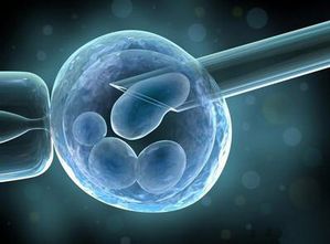 试管婴儿如何规避胚胎停育?