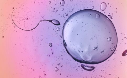 做试管婴儿卵泡发育不良怎么办?