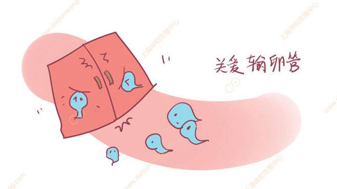 输卵管堵塞可以做马来西亚试管婴儿吗?