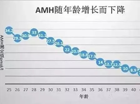 AMH——决定试管婴儿成功率的一个重要因素