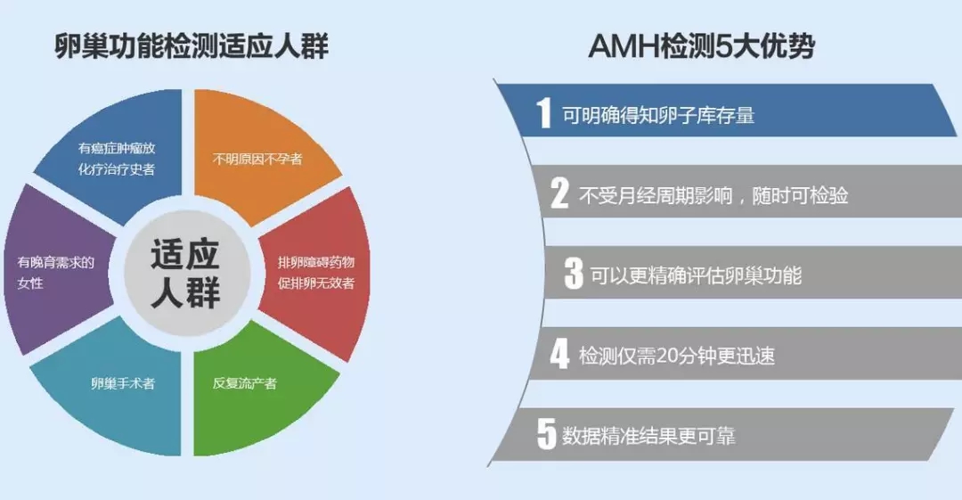 AMH——决定试管婴儿成功率的一个重要因素