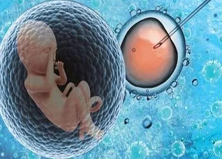 女方甲亢备孕困难，马来西亚试管婴儿助孕成功