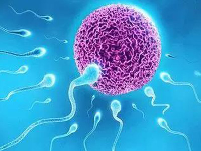 男性精子活力低，马来西亚生丰医院是怎么治疗的？