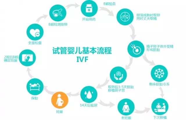 去马来西亚做试管到底有多痛？